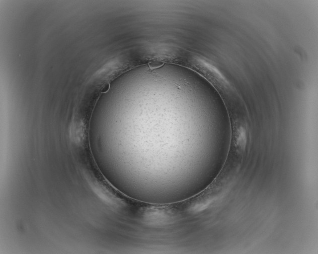 X0000111680077200907311228