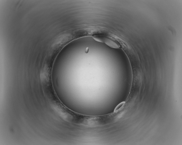 X0000111680078200907311228