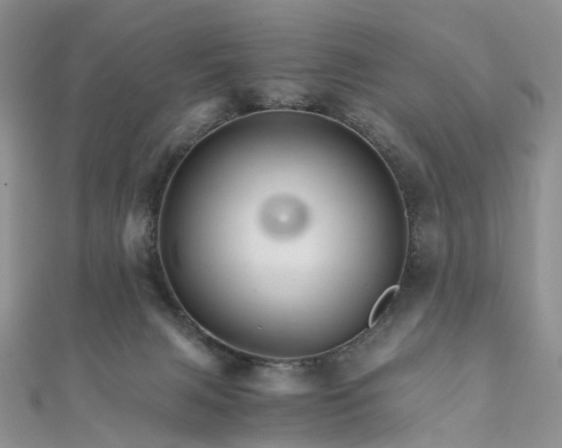 X0000111680079200907311228