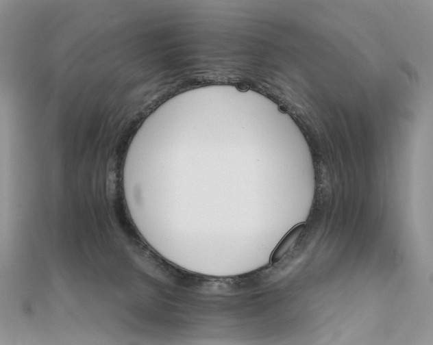 X0000111680080200907311228