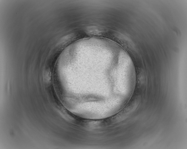 X0000111680081200907311228