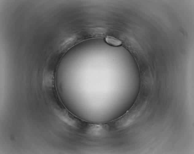 X0000111680083200907311228