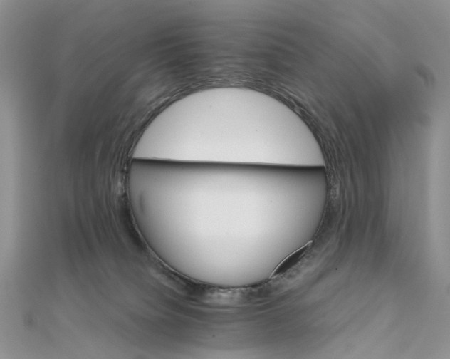 X0000111680084200907311228