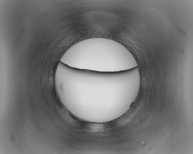 X0000111680085200907311228