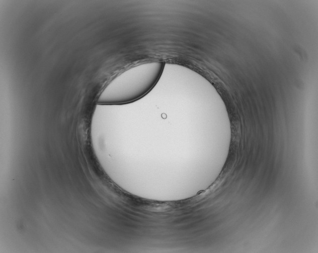 X0000111680086200907311228