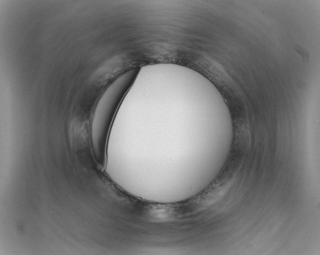 X0000111680088200907311228