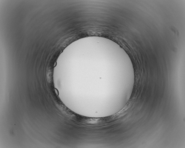 X0000111680090200907311228