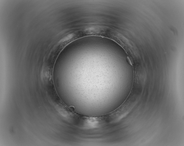 X0000111680091200907311228