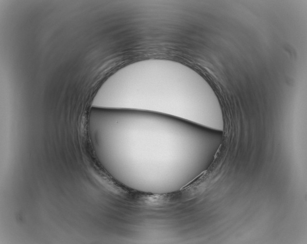 X0000111680092200907311228