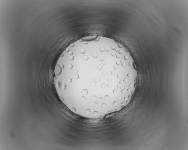 X0000111680093200907311228