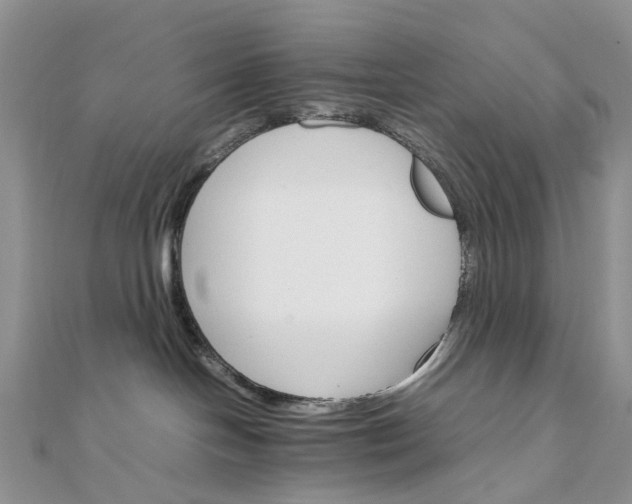 X0000111680094200907311229