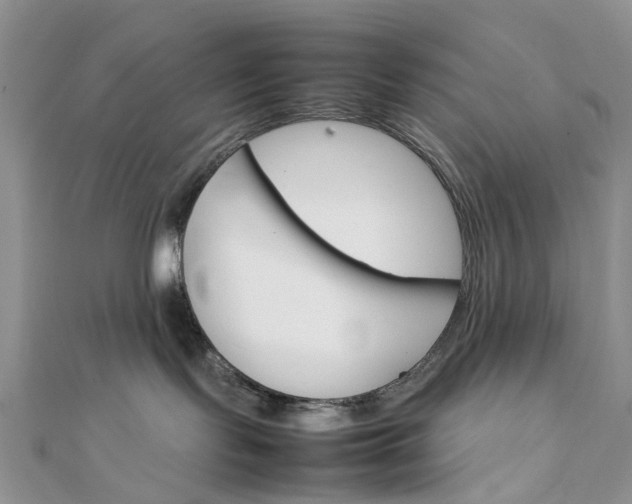 X0000111680095200907311229