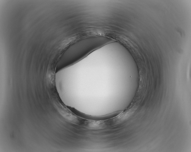 X0000111680096200907311229