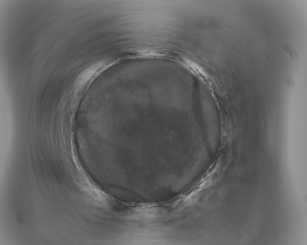 X0000111680097200907311228