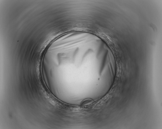 X0000111680098200907311228