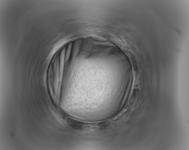 X0000111680099200907311228