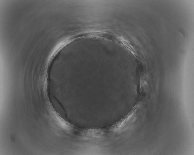 X0000111680101200907311228