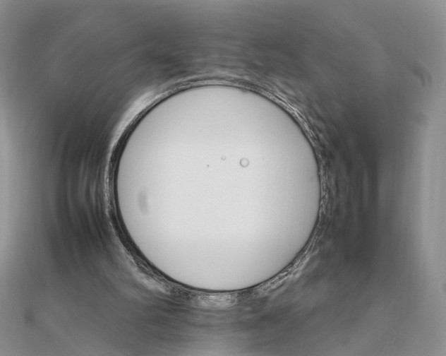 X0000111680102200907311228