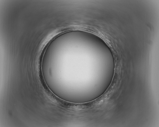 X0000111680103200907311228