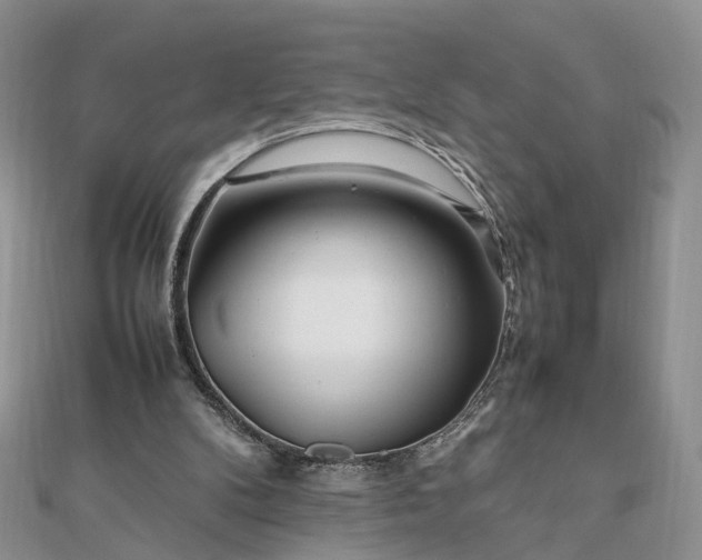 X0000111680104200907311228