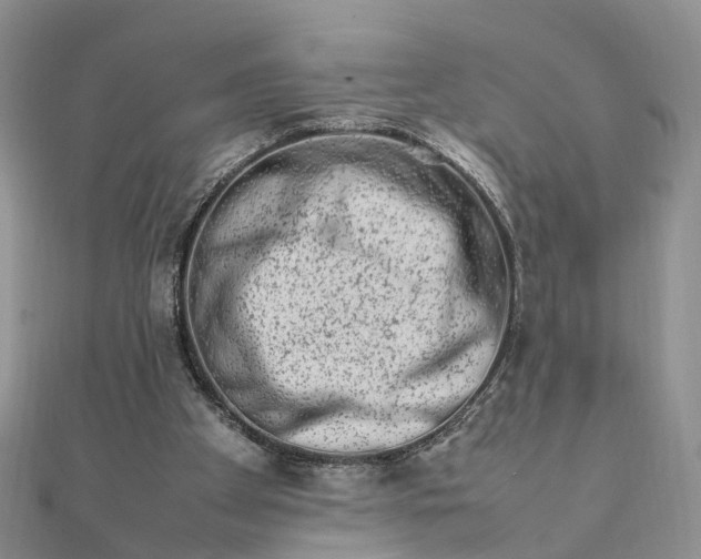 X0000111680105200907311228