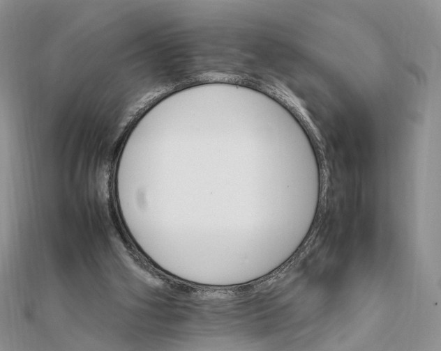 X0000111680106200907311228