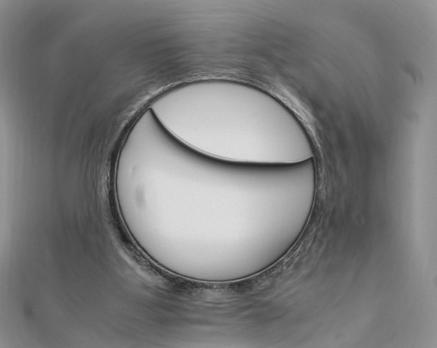 X0000111680107200907311228