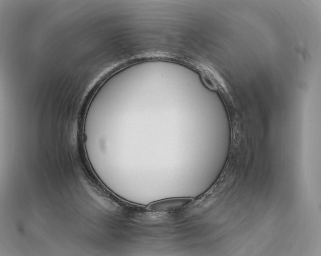 X0000111680108200907311228