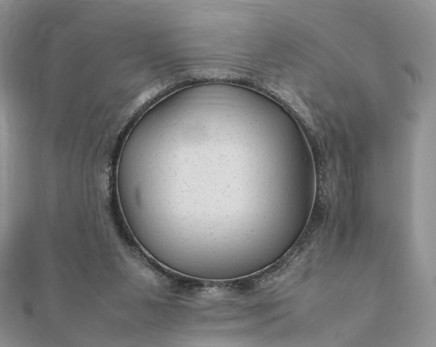 X0000111680111200907311228