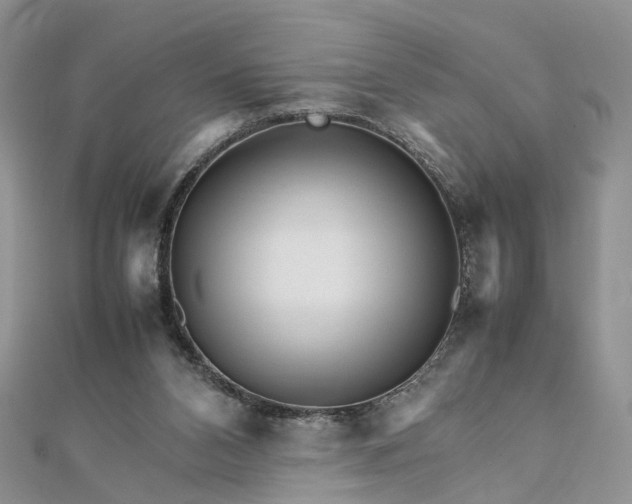 X0000111680112200907311228