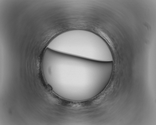 X0000111680113200907311228