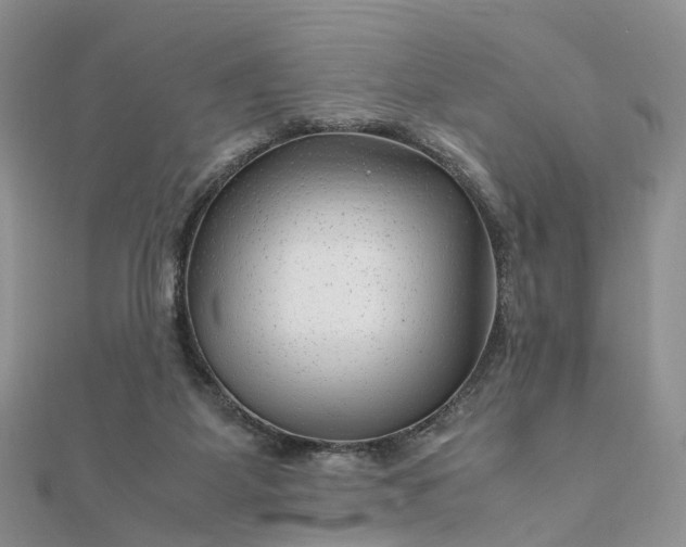 X0000111680115200907311228