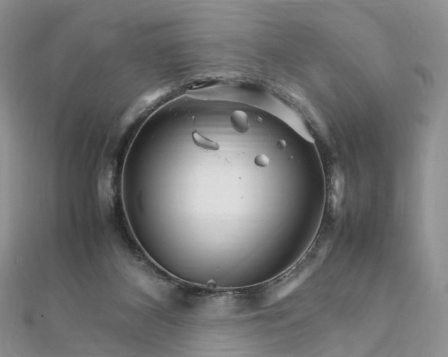 X0000111680116200907311228