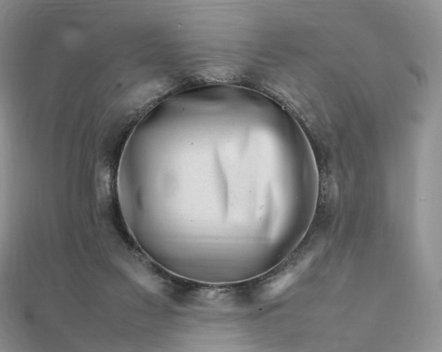 X0000111680117200907311228