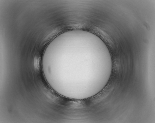 X0000111680118200907311228