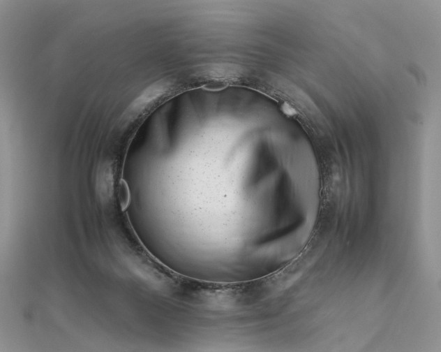 X0000111680120200907311228