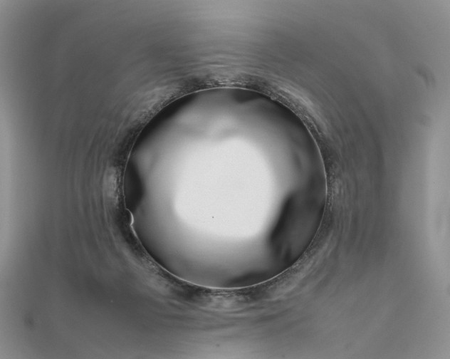 X0000111680121200907311228