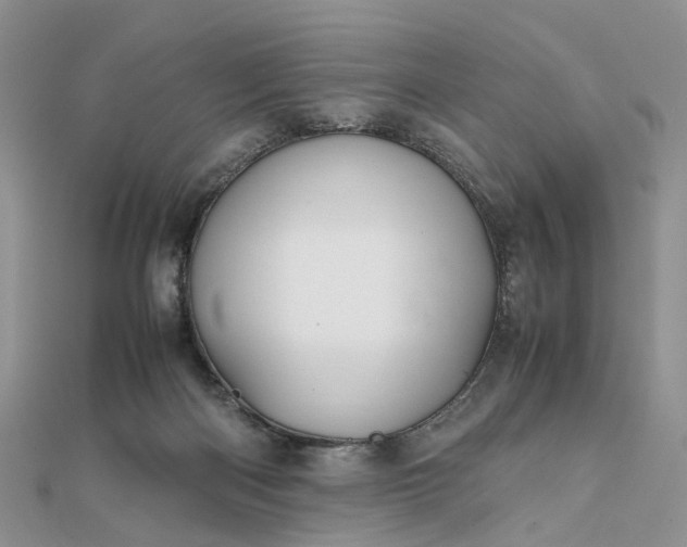 X0000111680122200907311228