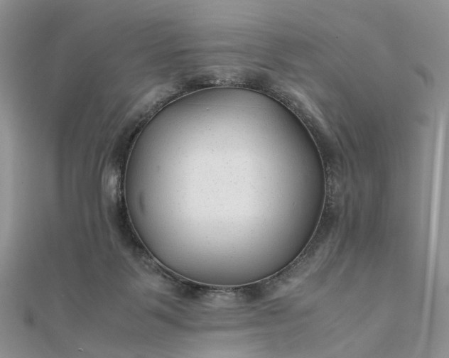 X0000111680123200907311228