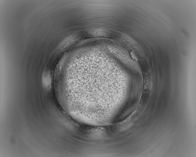 X0000111680124200907311228