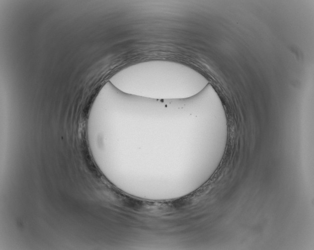 X0000111680125200907311228