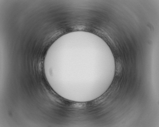 X0000111680126200907311228