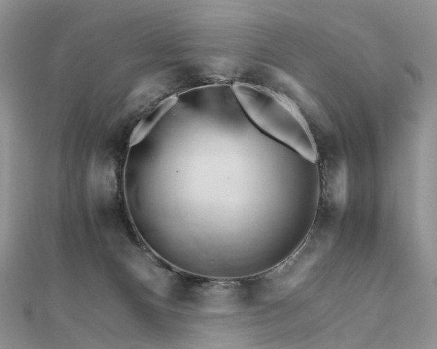 X0000111680128200907311228