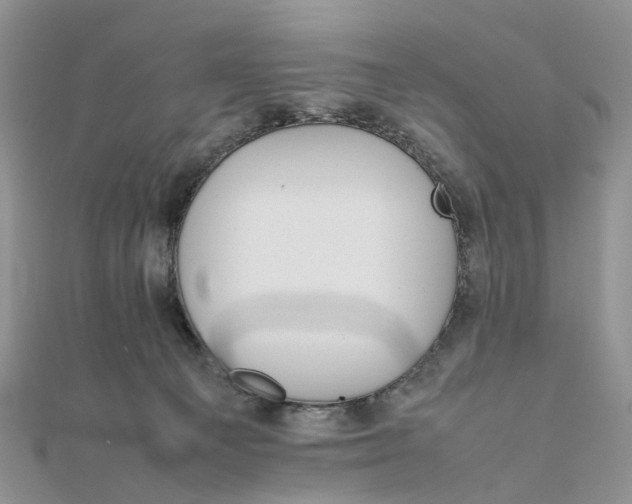 X0000111680129200907311228