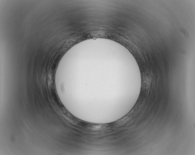 X0000111680130200907311227