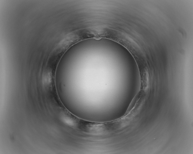 X0000111680132200907311227