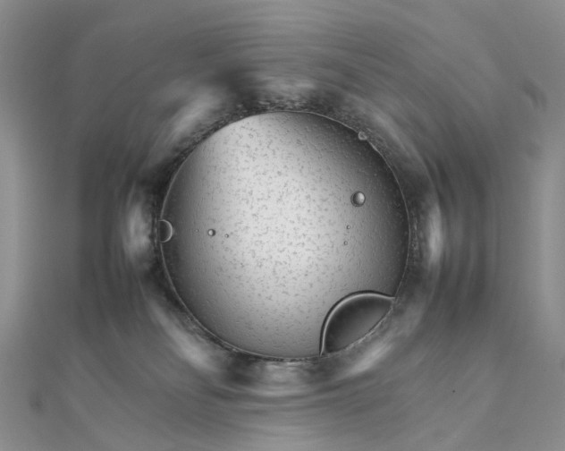 X0000111680134200907311227