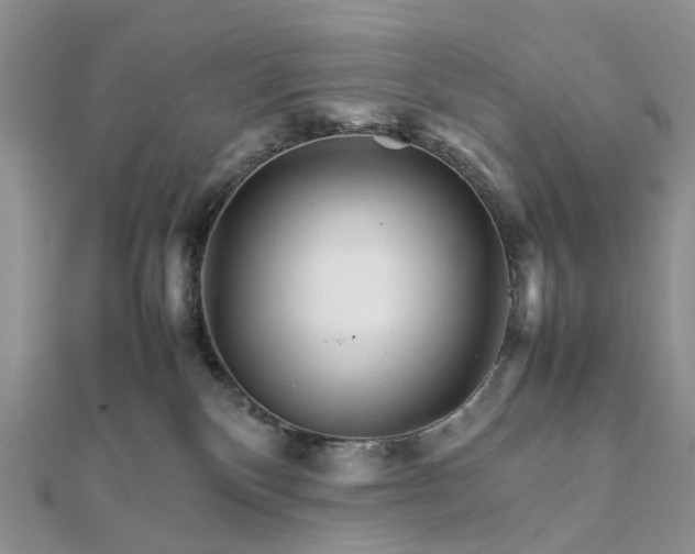 X0000111680136200907311227