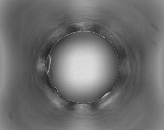 X0000111680137200907311227