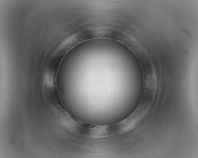 X0000111680138200907311227